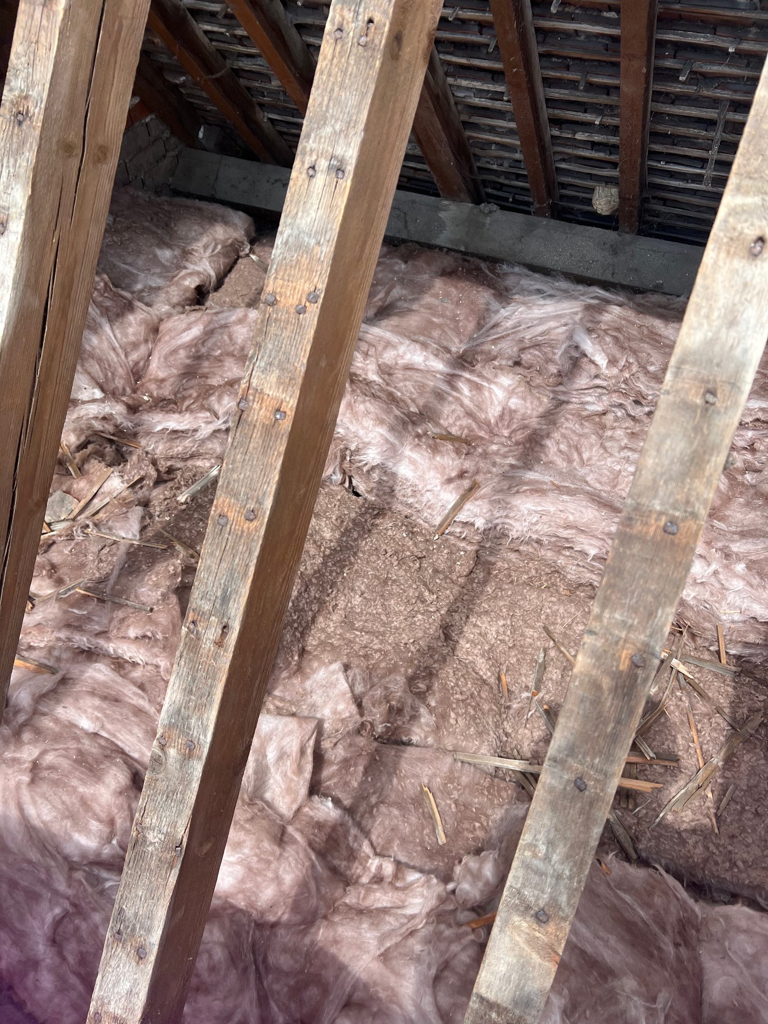 Roof space showing timber rafters and existing fibreglass insulation laid between the structural timbers