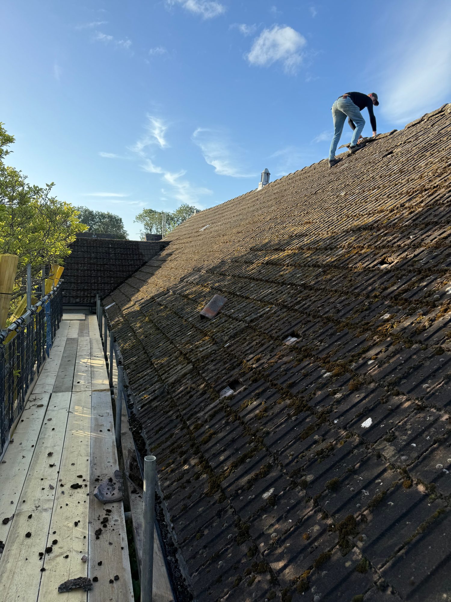View across the existing tiled roof showing areas of moss and weathering, with a person positioned on the roof and temporary access scaffolding along the side
