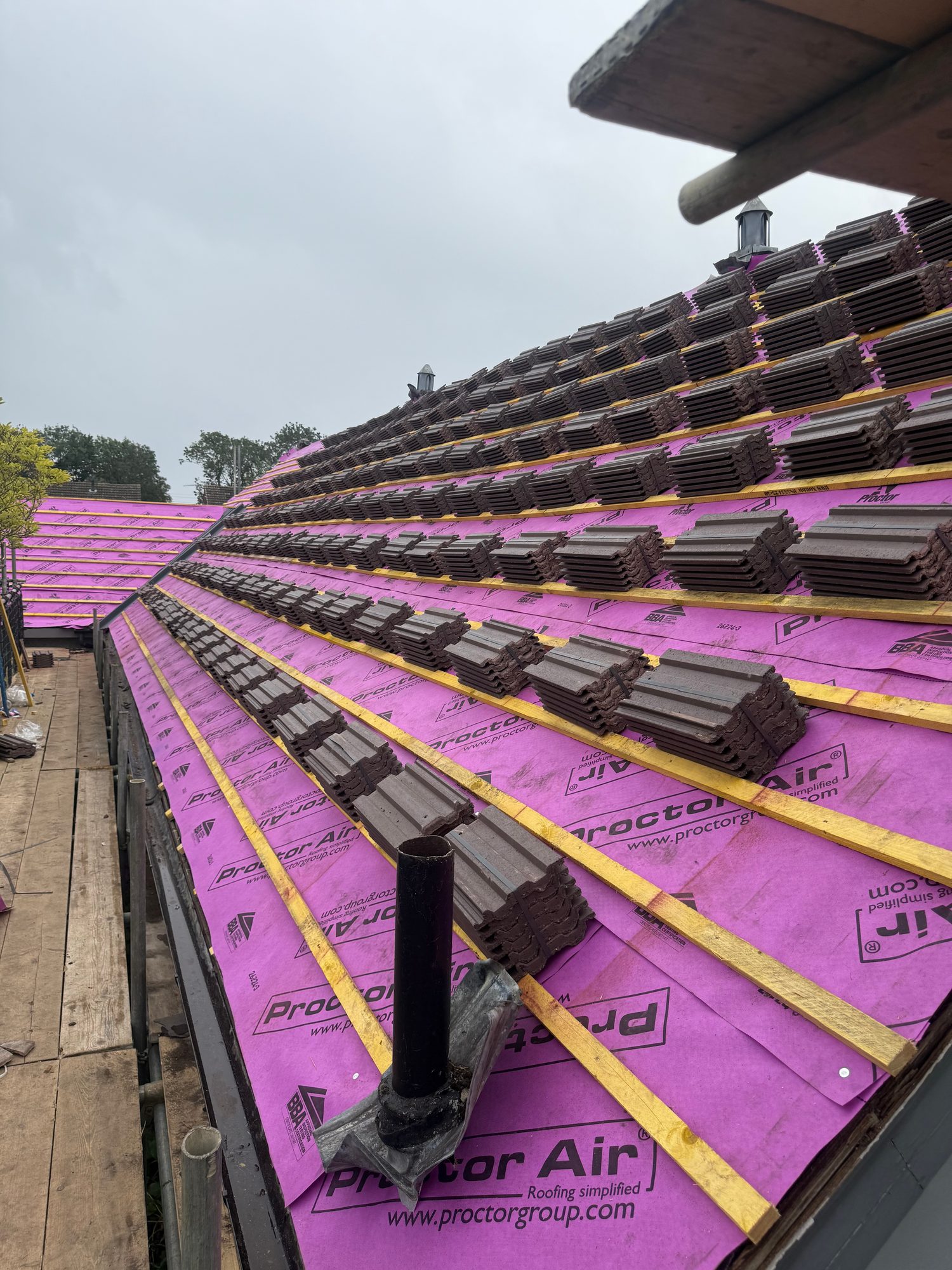 Sloping roof covered with purple ProctorAir underlay and rows of timber battens prepared for the installation of roof tiles, with roof vents visible