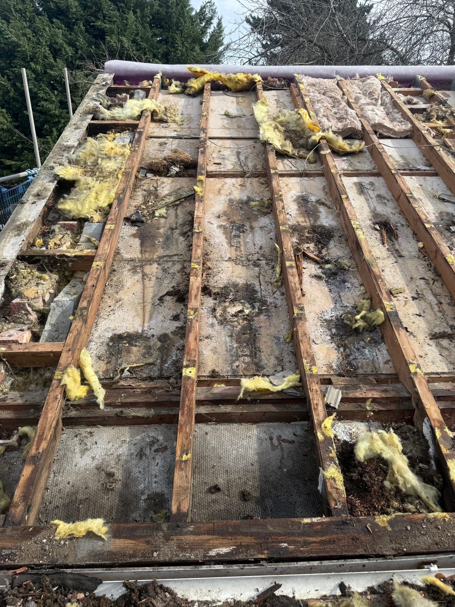 Stripped pitched roof showing exposed timber rafters, roof deck and remaining yellow insulation, with roofing debris and scaffolding visible
