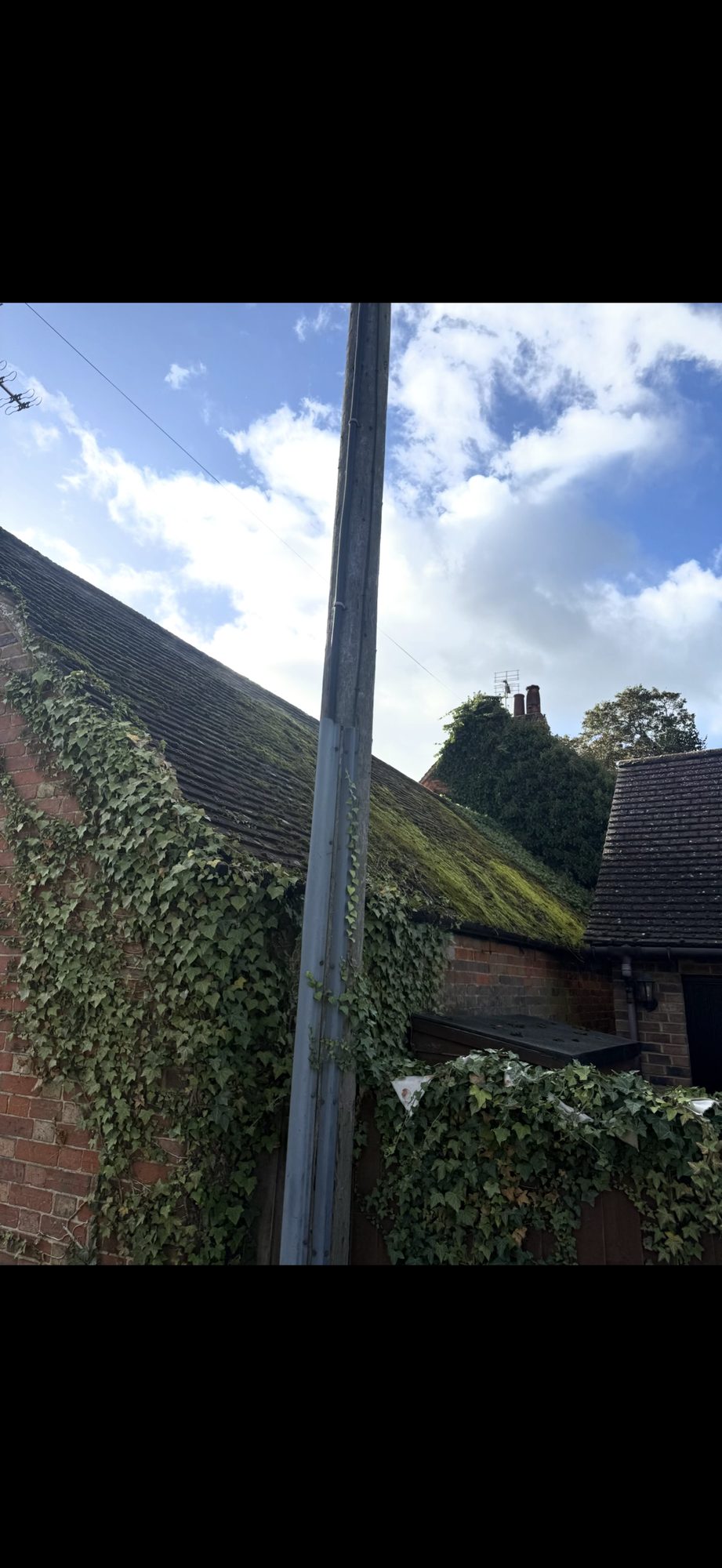 Steep tiled roof heavily covered with moss and surrounded by climbing ivy