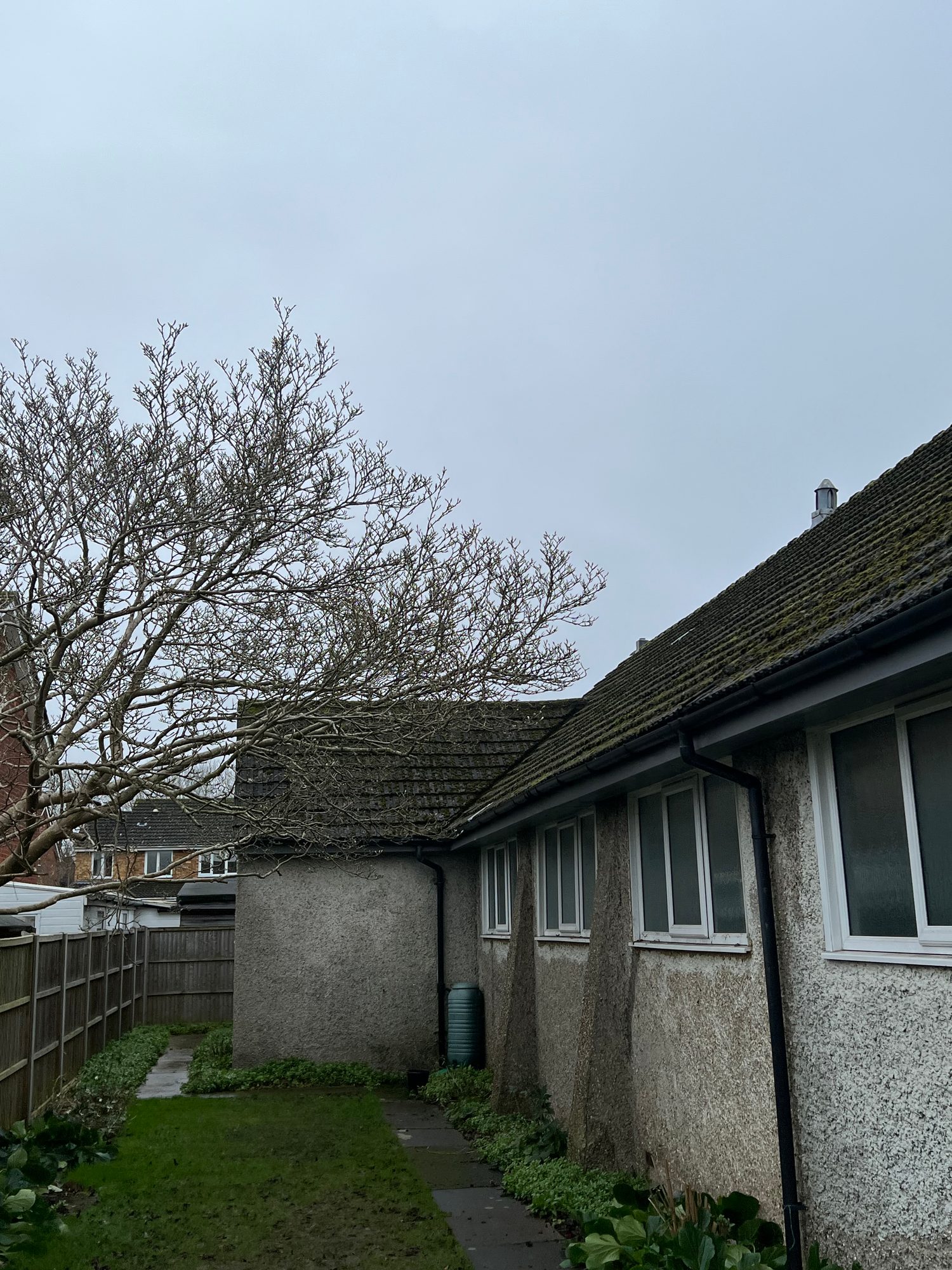 Rear elevation showing moss-covered pitched roof, rendered walls, windows, gutters and downpipes