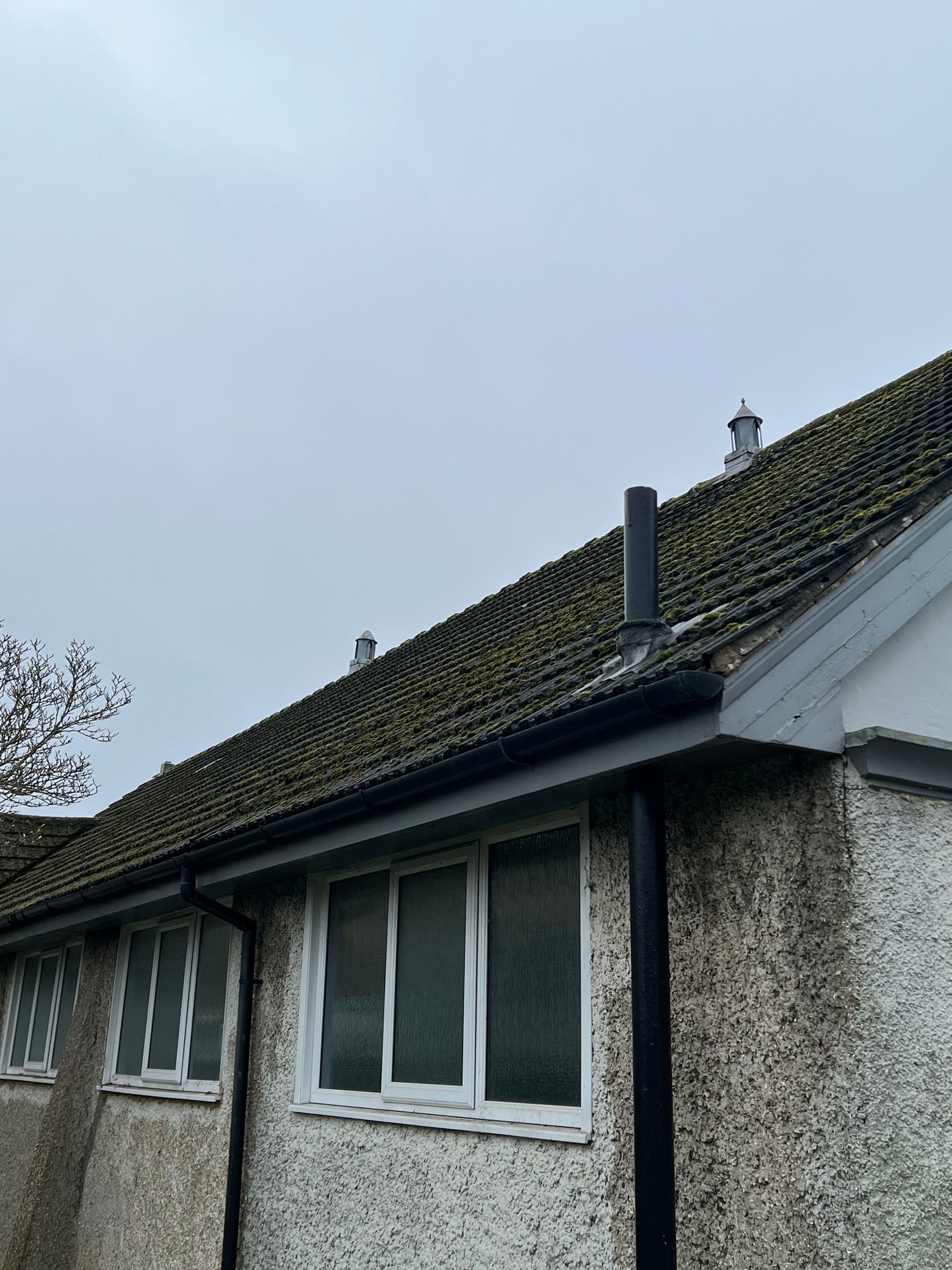 Pitched roof with extensive moss growth above a rendered wall, with gutters, downpipes and windows visible