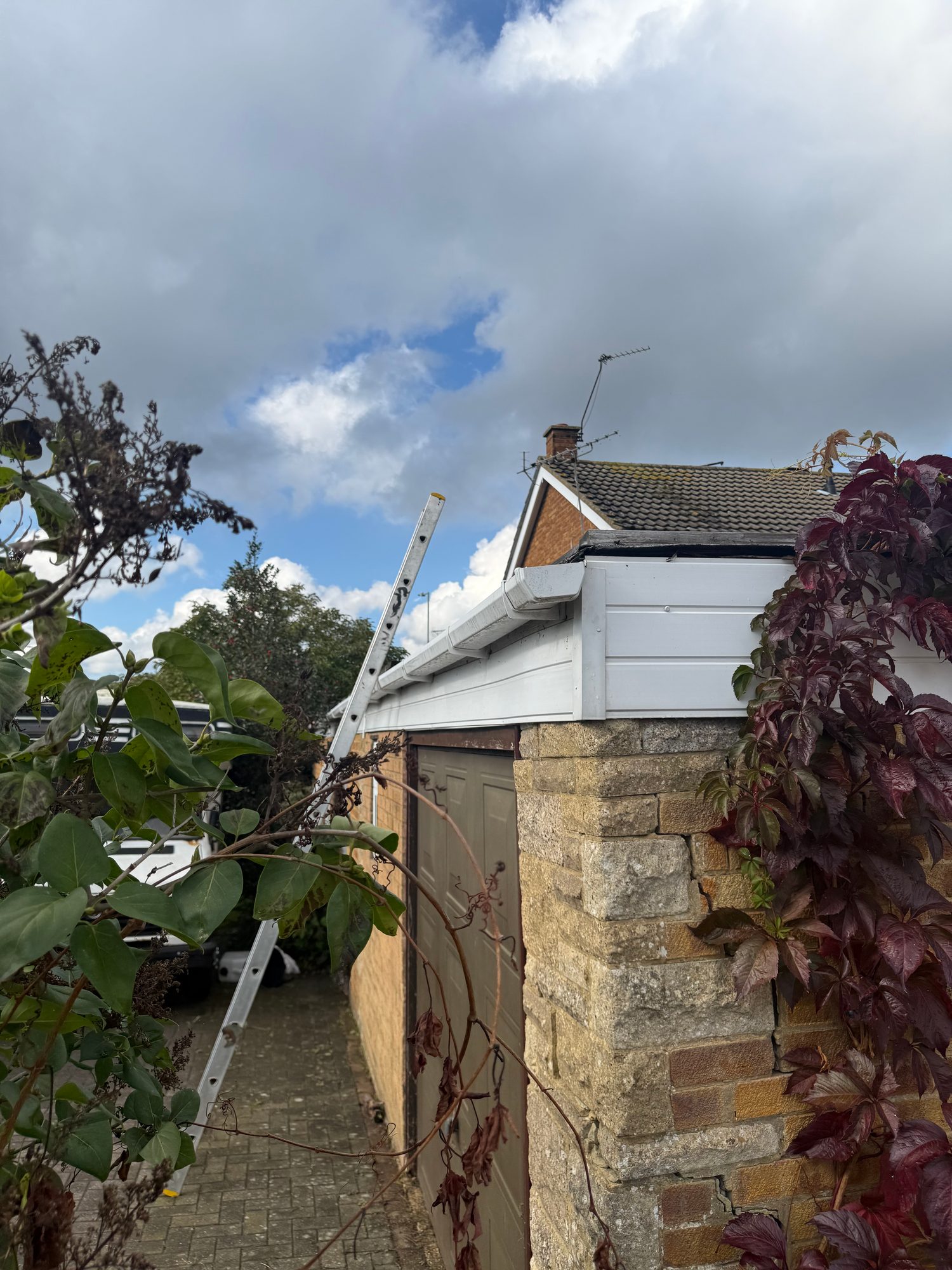 Close-up view of the garage roof and white guttering before works, with a ladder positioned against the roof edge and surrounding vegetation visible