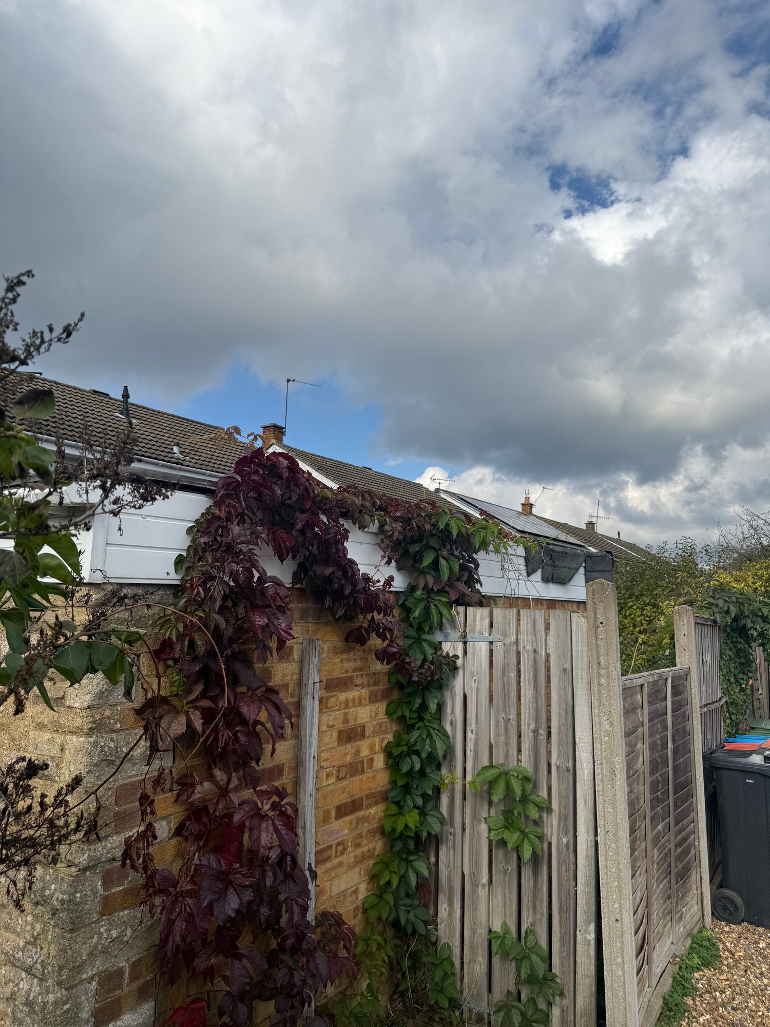 View of the rear garage roof and white guttering, with climbing plants covering part of the brick wall and timber fencing alongside