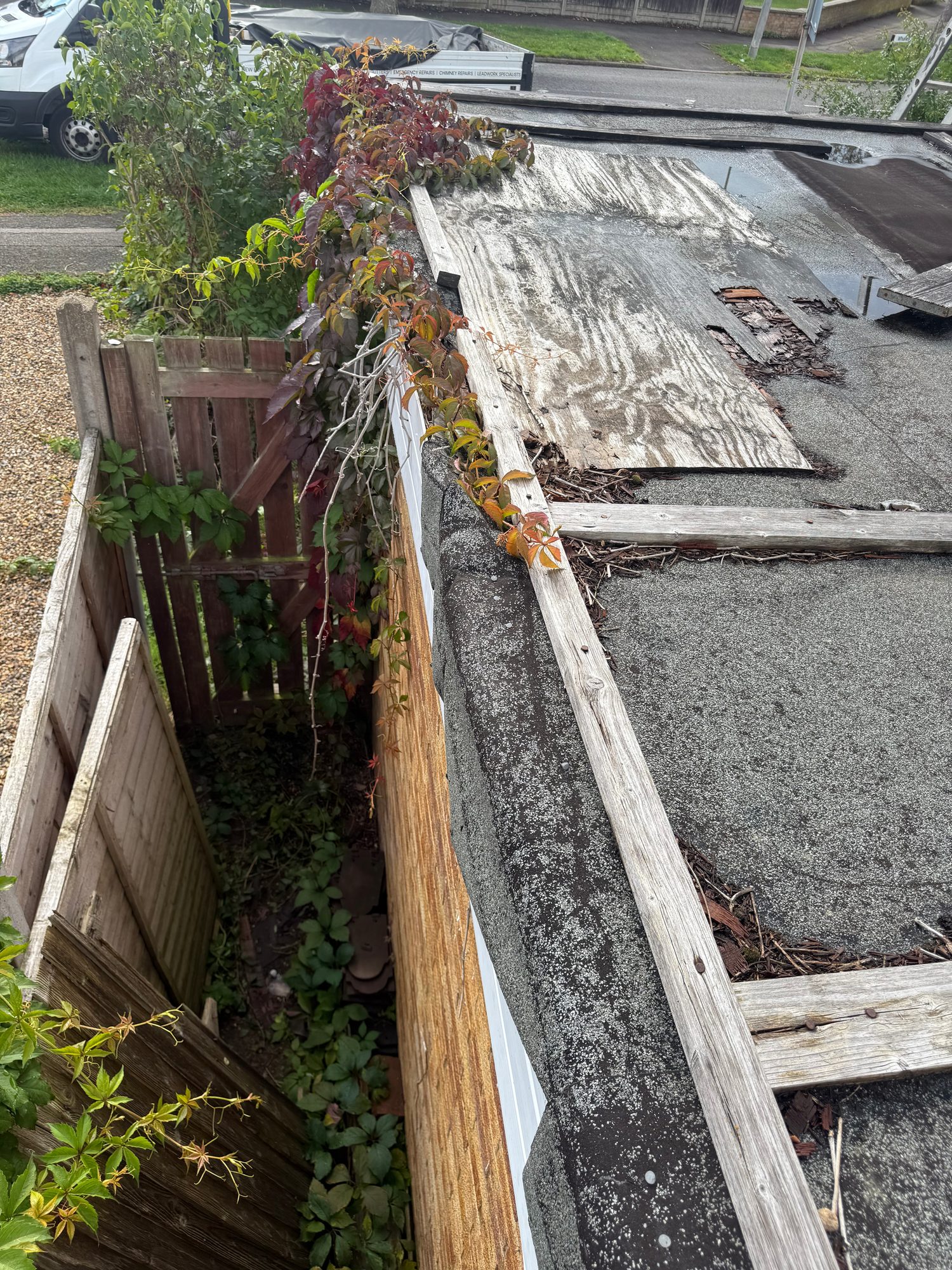 Close-up view of the existing flat roof showing weathered roof covering, exposed and deteriorated timber sections, surface debris and vegetation along the roof edge