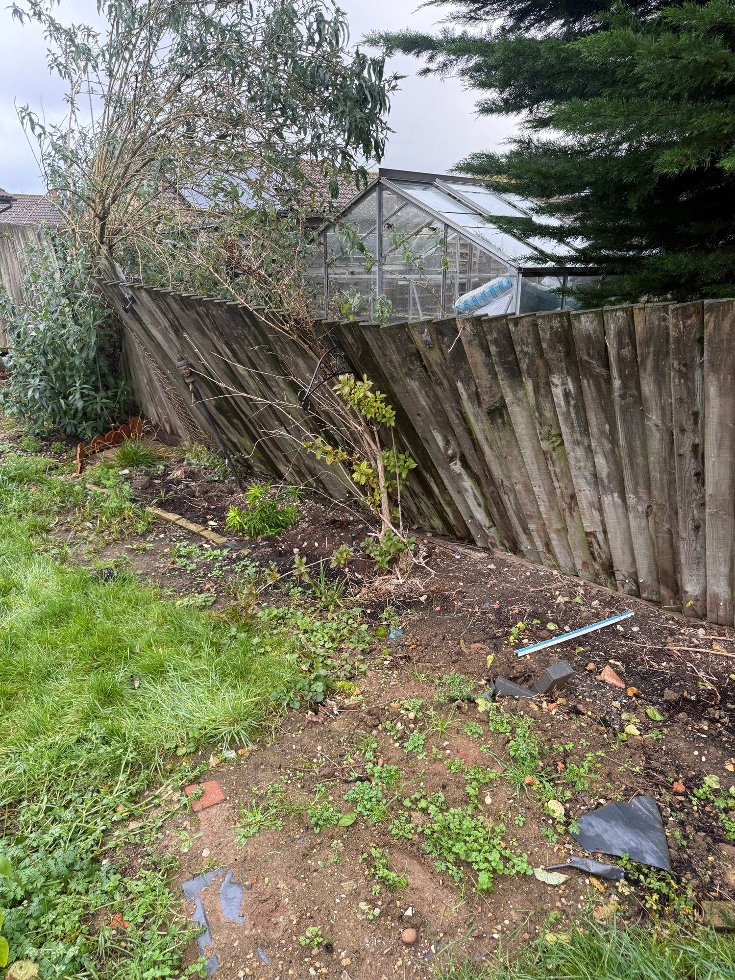 Row of weathered timber fence panels leaning into a planted garden border with a greenhouse behind