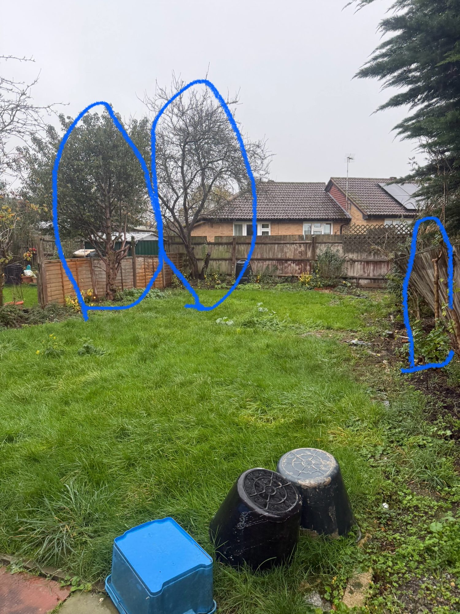 Rear lawn with trees and boundary planting highlighted in blue against weathered timber fencing