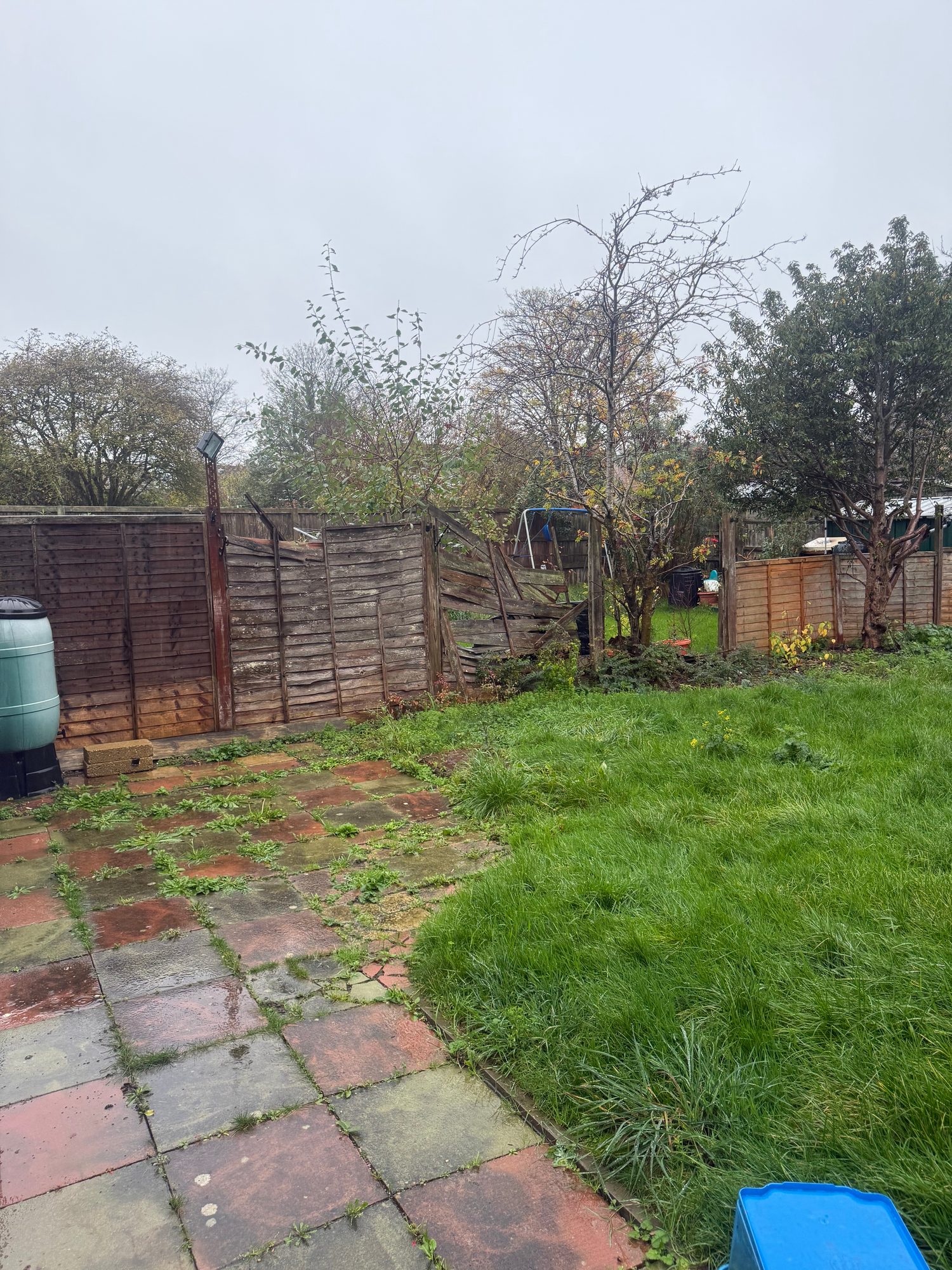 Rear garden with an overgrown lawn, worn paving, mature trees and damaged timber fence panels